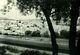 La médina (1963)